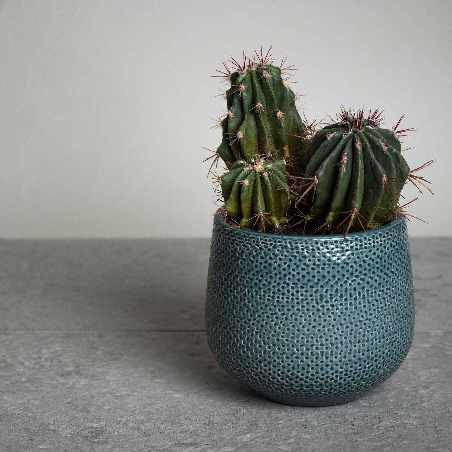 Reval Stone Reval paekivi antiik