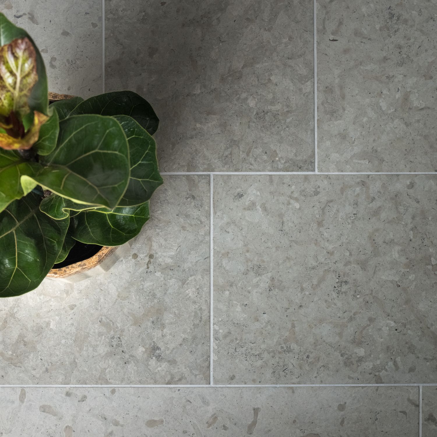 Reval Stone Reval paekivi lihvitud